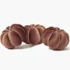 Small Chocolate Velvet Pumpkin (Trio)