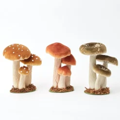 Small Mixed Mushroom Set