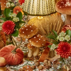 Small Mixed Mushroom Set