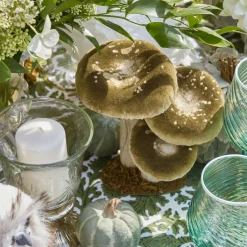 Small Mixed Mushroom Set