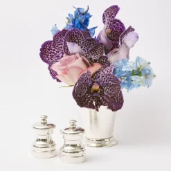 Sterling Silver Salt & Pepper Set (Pair)