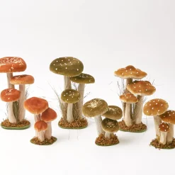 Tall Mixed Mushroom Set