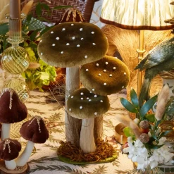 Tall Mixed Mushroom Set