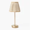 Tall Rechargeable Lamp & Putty Lotus Shade (18cm)