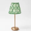 Tall Rechargeable Lamp with Green Ikat Shade (18cm)